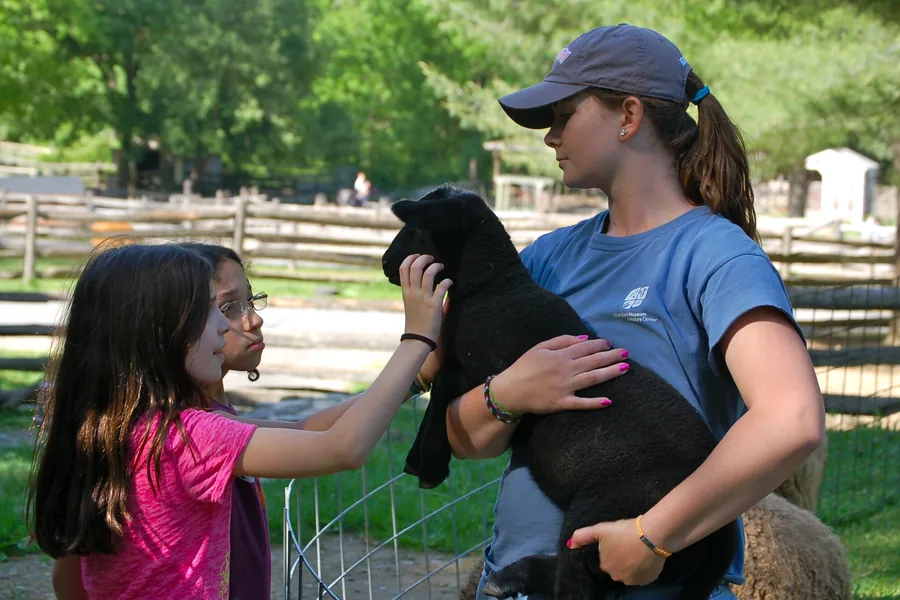 A child patting a goat