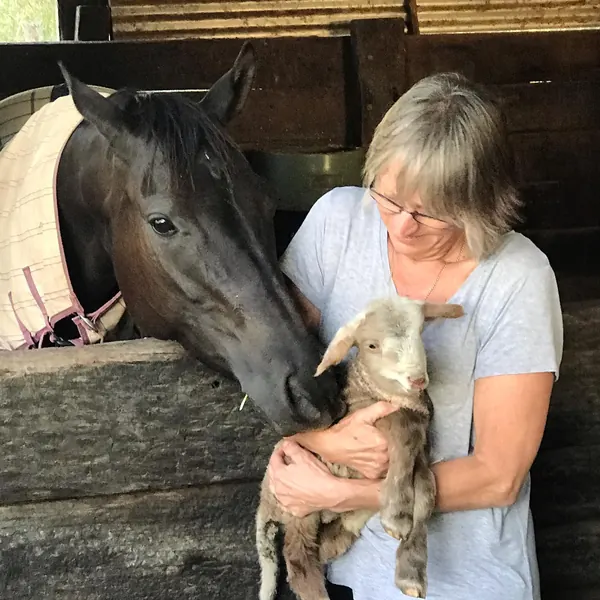 Those of you that know Nancy, our very heavily pregnant ewe, well she finally gave birth a few days ago.  Nancy was really struggling as she was very heavy with her bub and was carrying an enormous am