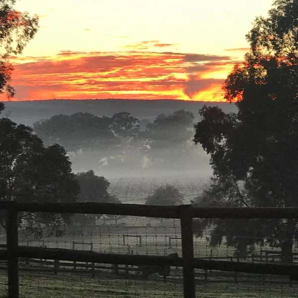 Good morning from Settlers Rest Farmstay.  What an amazing sunrise in the Swan Valley this morning!! Have a great day everyone @settlers_rest_farmstay #swanvalley#sunriseonthefarm#anotherdayinparadise